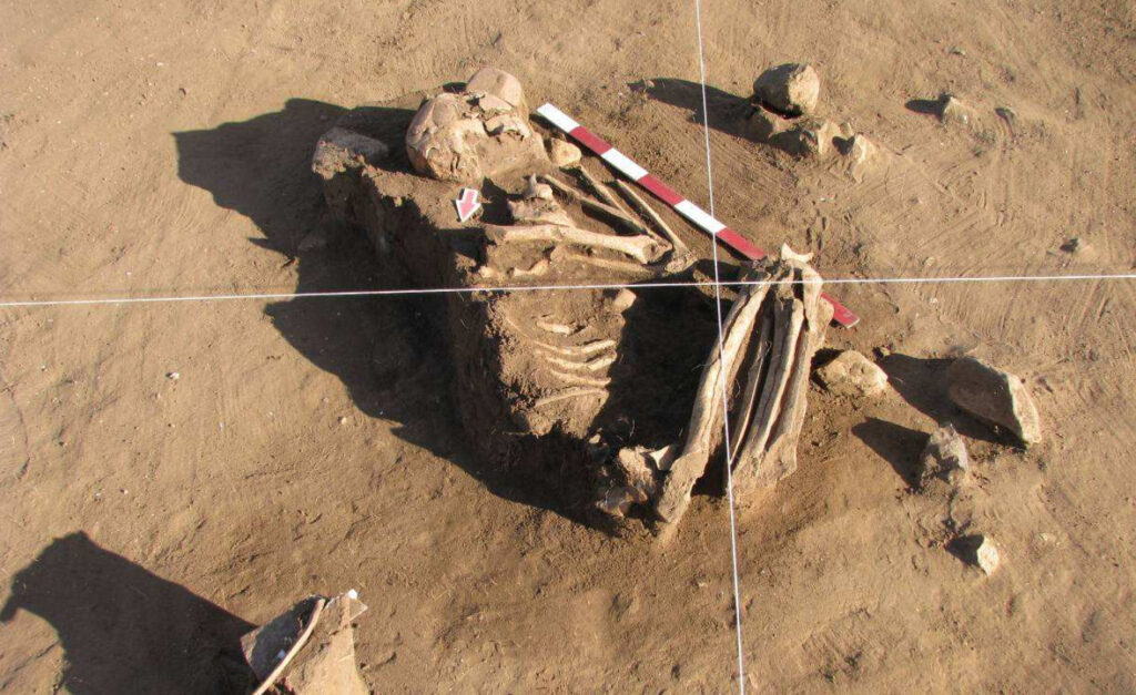 Esqueleto 1 durante la excavación. Créditos: Foto extraída del estudio.