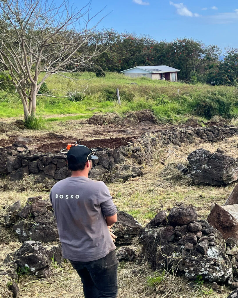 Reforestación en Rapa Nui. Créditos: Bosko.