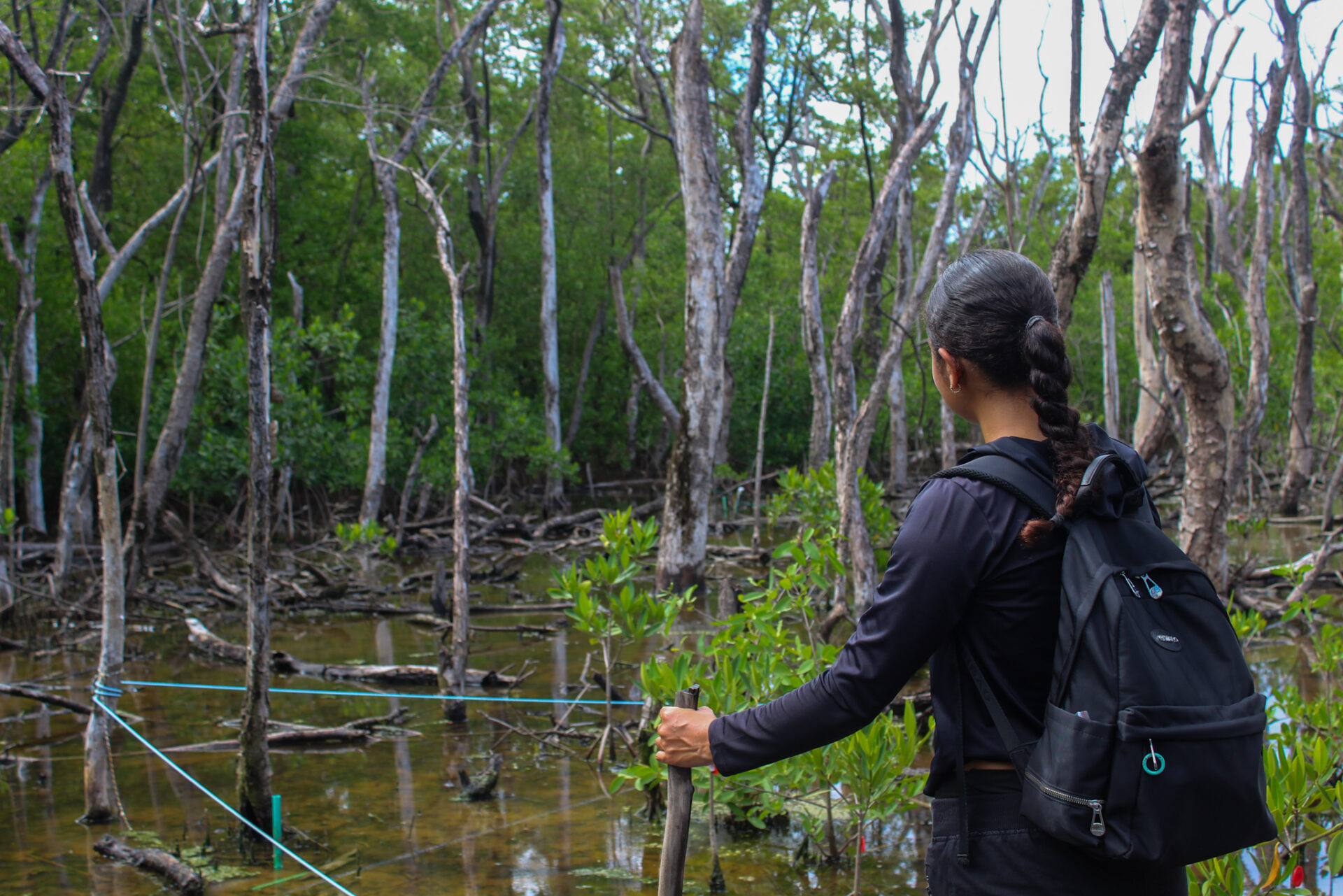 Las mujeres raizales que dan vida a corales y manglares para enfrentar huracanes en el Caribe insular colombiano