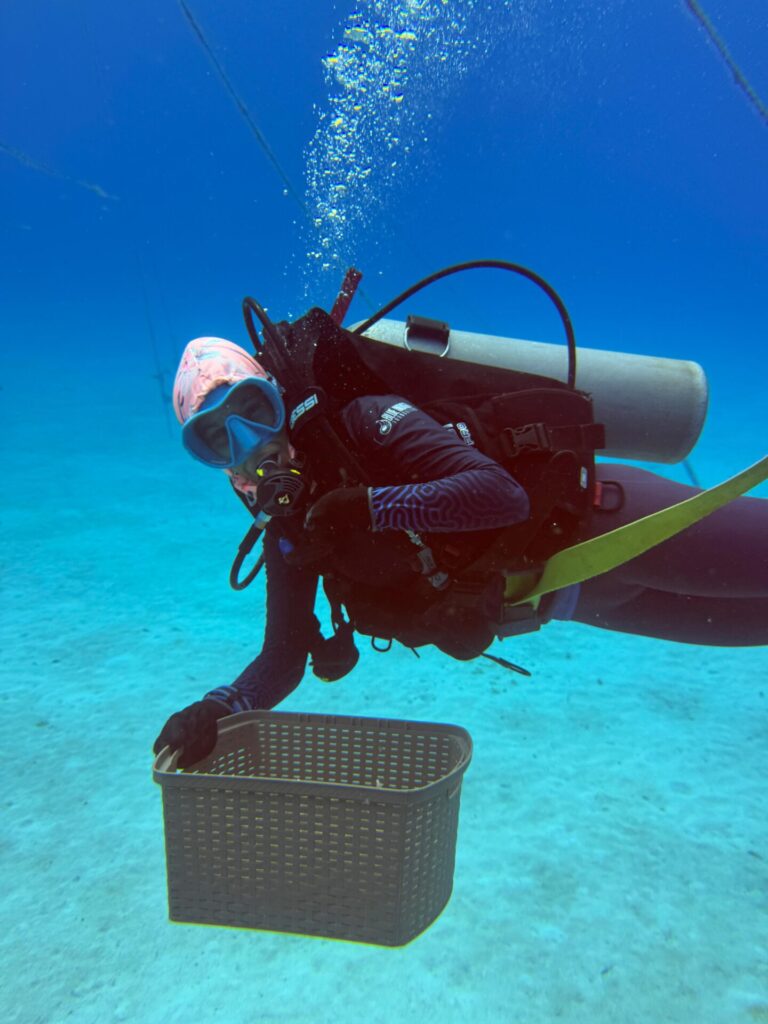 Majanna durante una colecta de corales, un paso clave para multiplicar fragmentos sanos y restaurar los arrecifes. Foto Majanna Powell.
