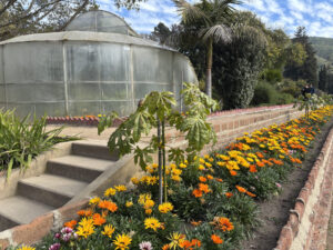 Jardín Botánico Nacional de Viña del Mar. Créditos: Loreto Andaur.