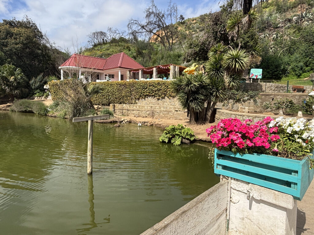 Jardín Botánico Nacional de Viña del Mar. Créditos Loreto Andaur