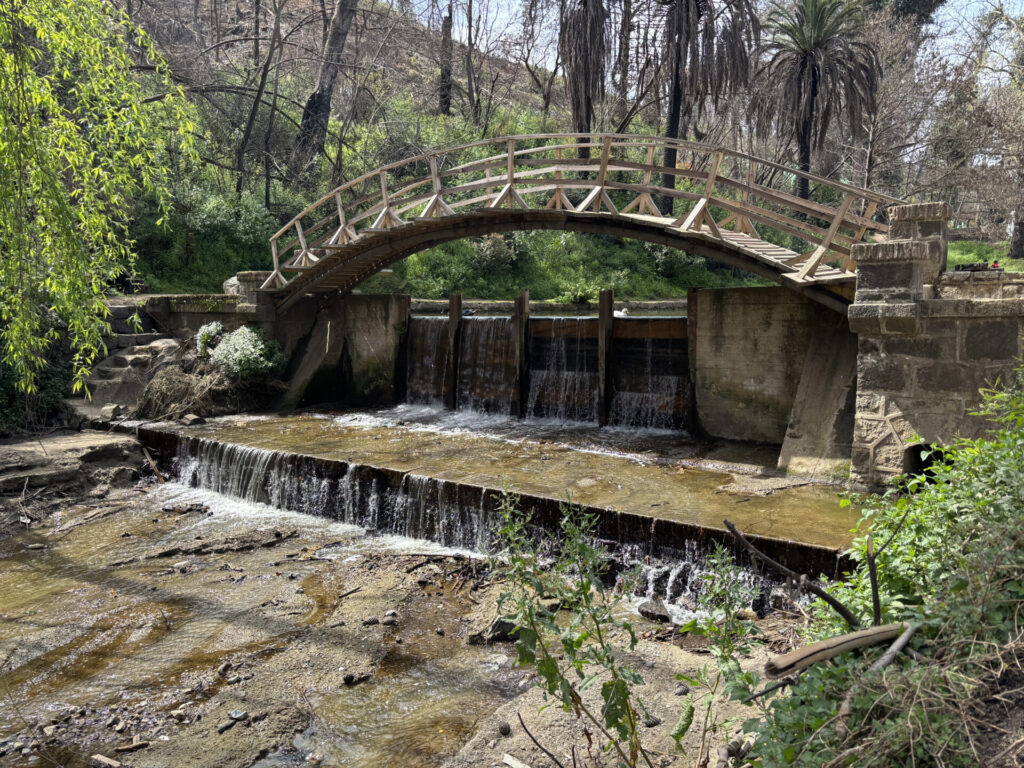 Puente japonés reconstuido por los funcionarios del Jardín Botánico Nacional de Viña del Mar. Créditos: Loreto Andaur.