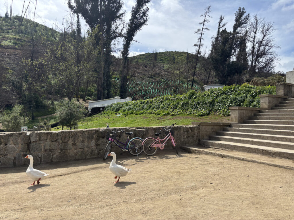 Jardín Botánico Nacional de Viña del Mar. Créditos Loreto Andaur