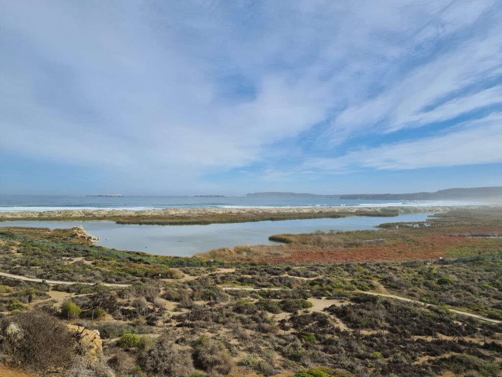 Laguna Conchalí en Los Vilos. Créditos: Mriquelm.