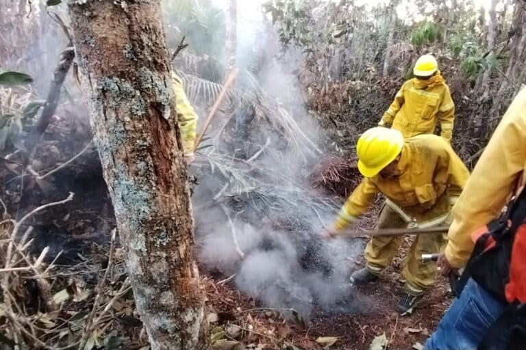 Los incendios forestales son la principal amenaza en el valle del Alto Utcubamba. Foto: cortesía Sernanp