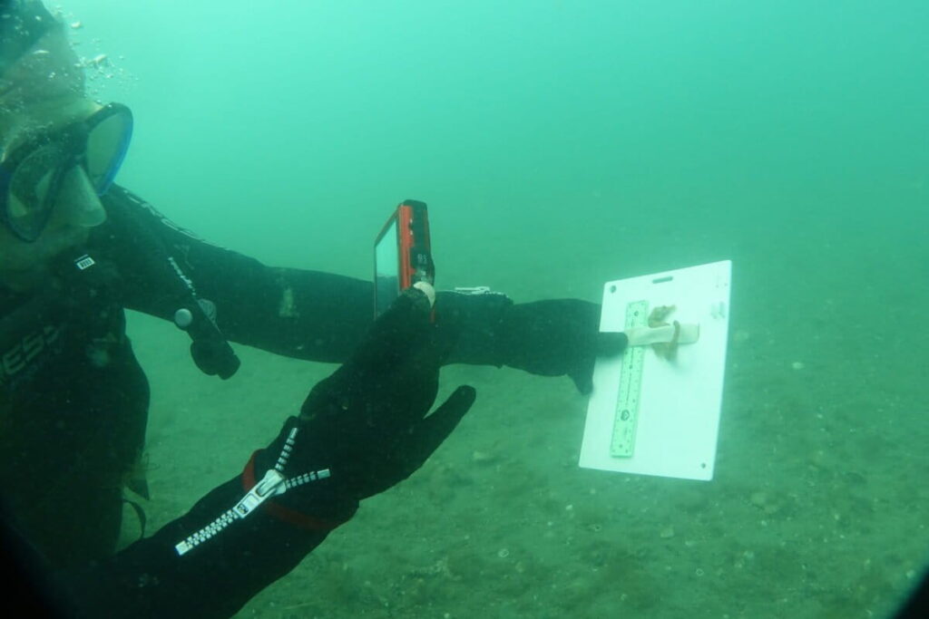 Diego Luzzatto midiendo un caballito de mar patagónico. Foto: cortesía Diego Luzzatto.