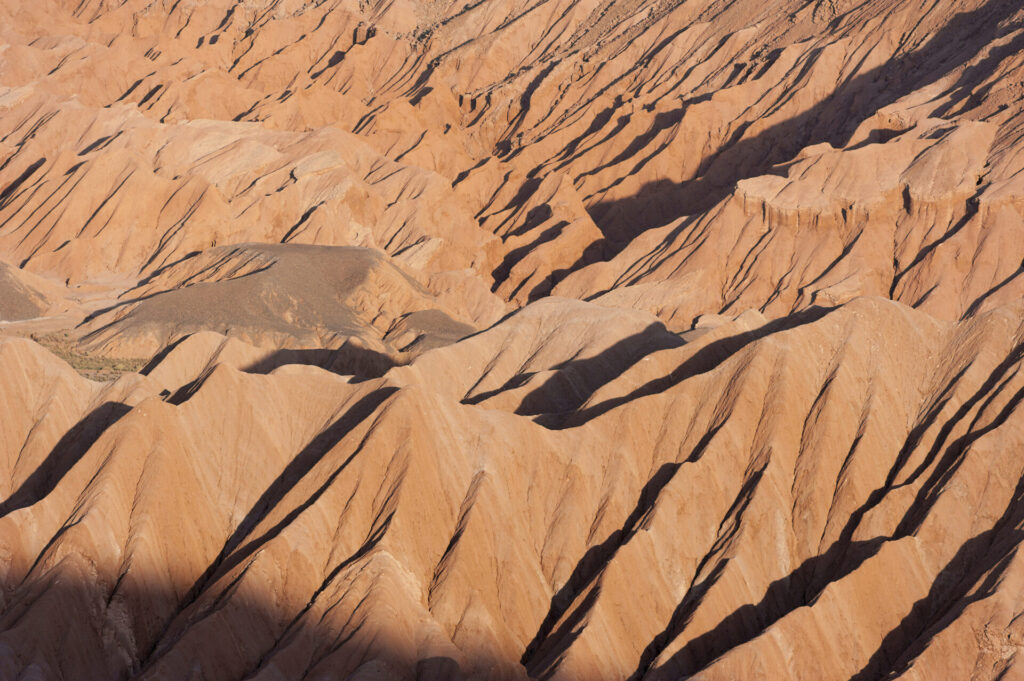 Desierto de Atacama. Créditos: Pablo Valenzuela.