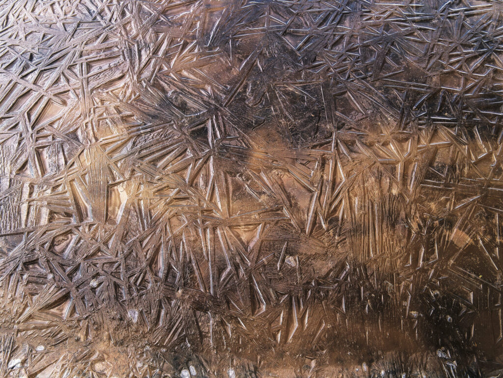 Desierto de Atacama. Créditos: Pablo Valenzuela.