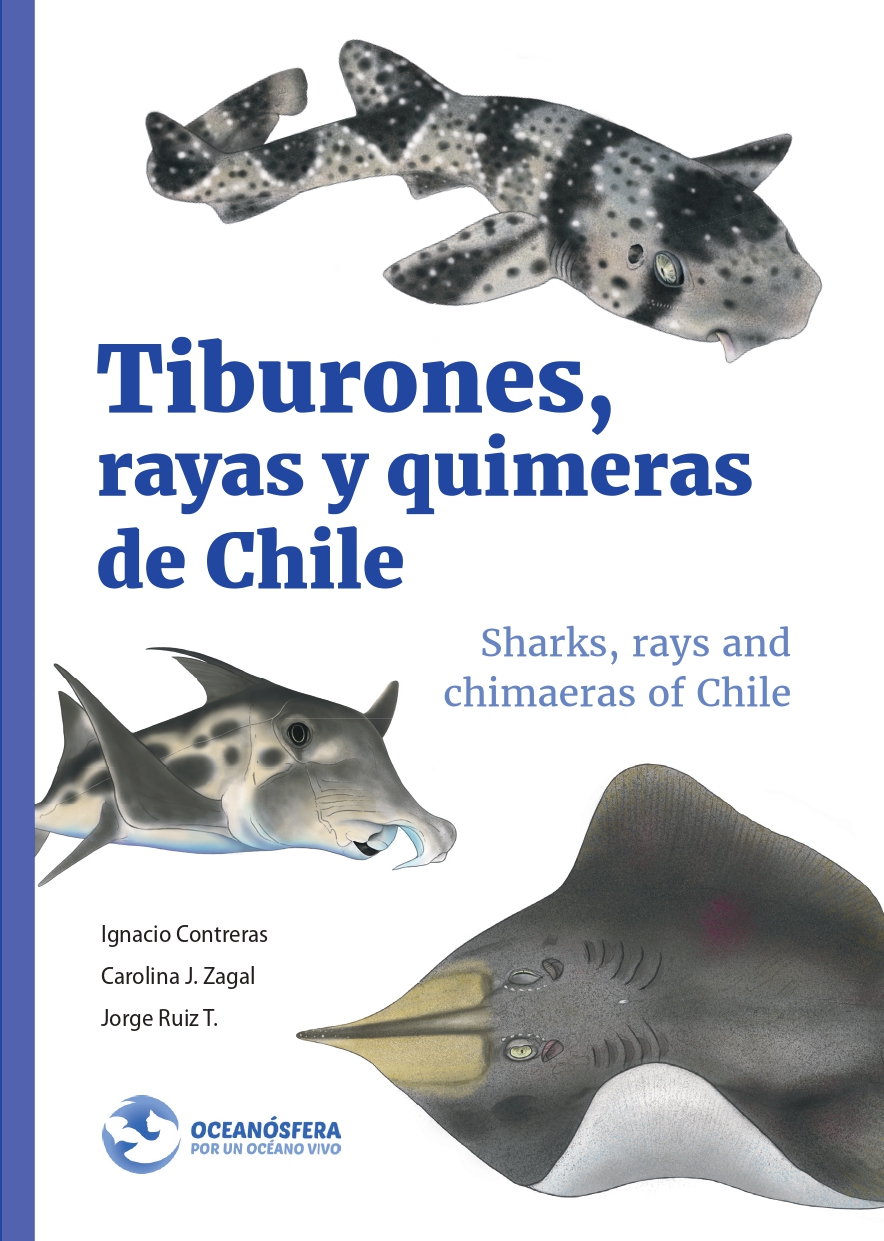 Portada Tiburones Rayas y Quimeras de Chile