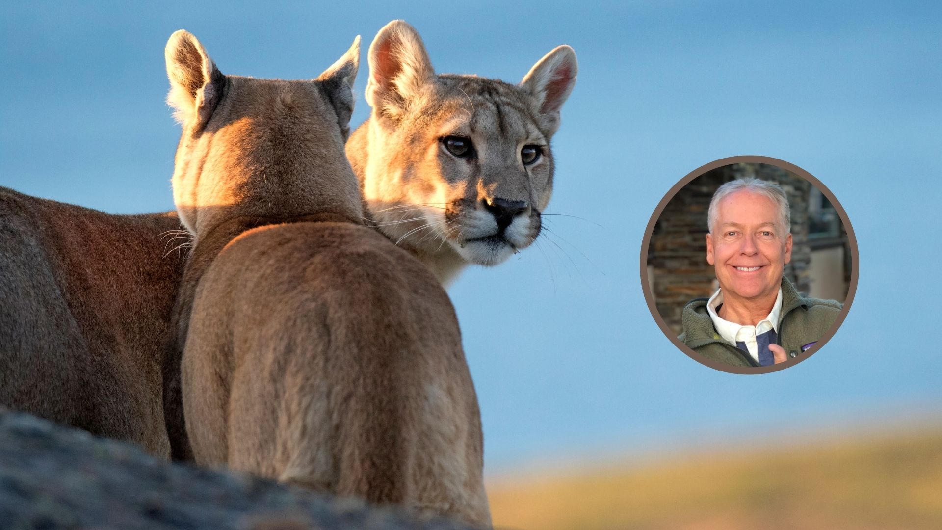 Jim Williams, biólogo estadounidense especialista en conservación: «En Montana existe la caza legal de pumas, muy regulada, pero lo que hemos observado es que cazar pumas no resuelve el conflicto con el ganado»