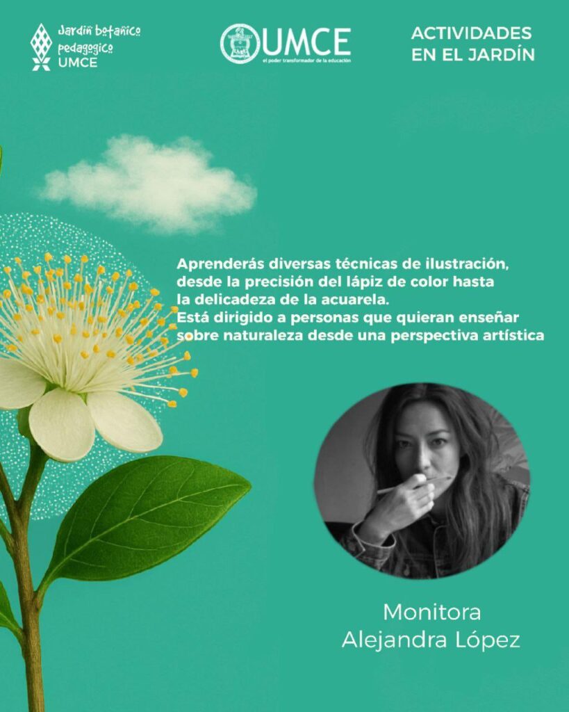 Taller de ilustración botánica. Créditos: UMCE.