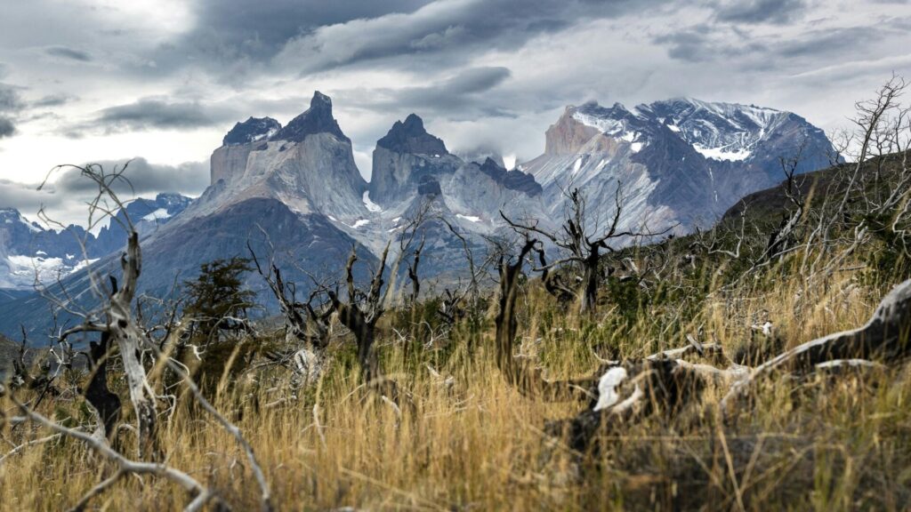 Torres del Paine. Créditos: Marek Piwnicki.