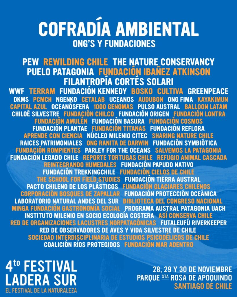 LINE UP LADERA SUR FEST 2025