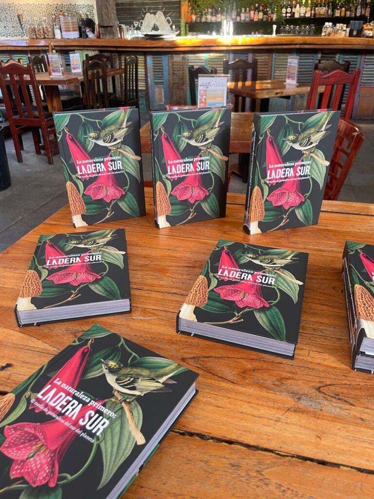 Libros Ladera Sur