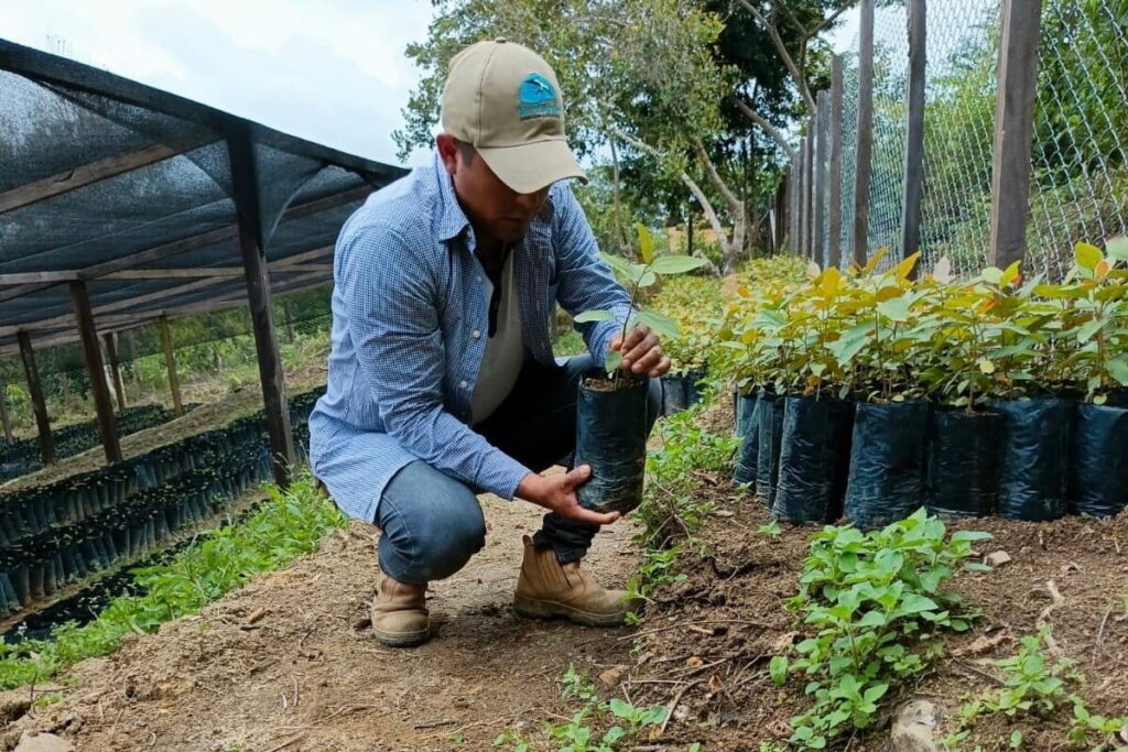 Remmy Huanca junto a los plantines de árboles nativos que sirven de alimento para la palkachupa. Foto: cortesía Remmy Huanca