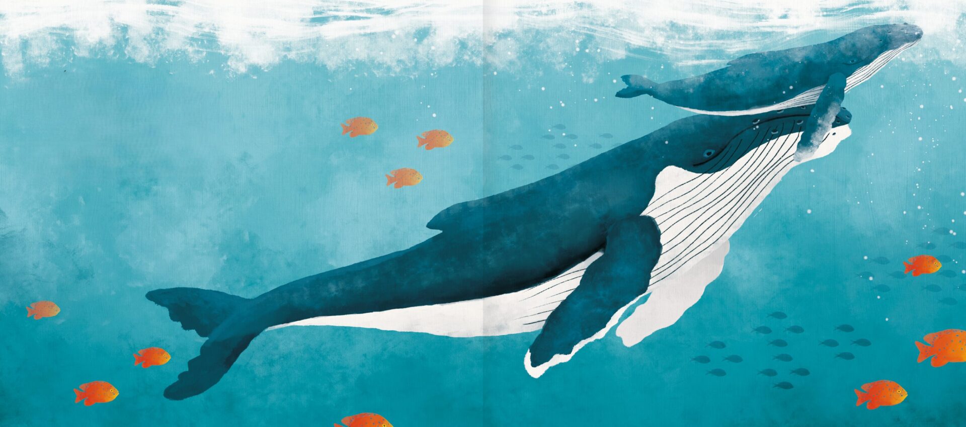 Arya, la ballena viajera