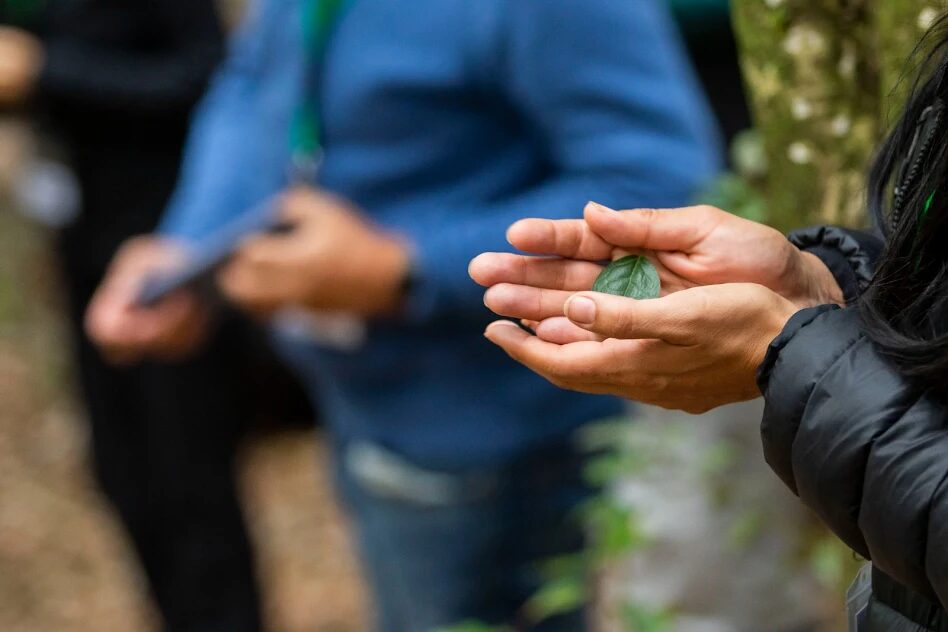 Expertos de Chile y el mundo se unirán en inédito foro internacional de conservación de biodiversidad y bienestar humano en Concepción