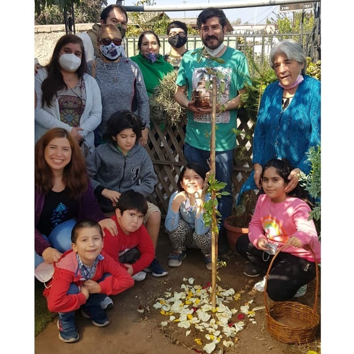 Ánfora árbol nativo. Créditos: BioFuneral.
