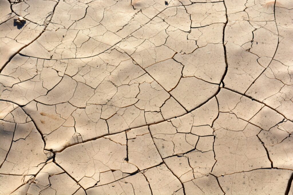 Cambio climático