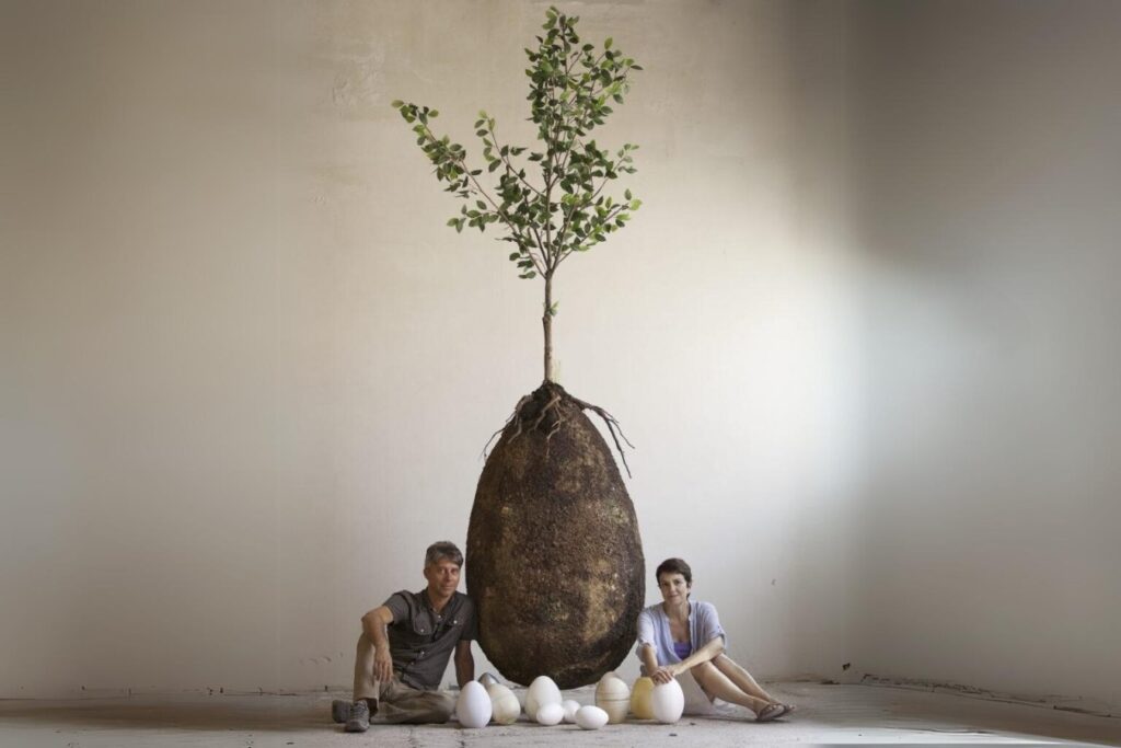 Créditos: Capsula Mundi.