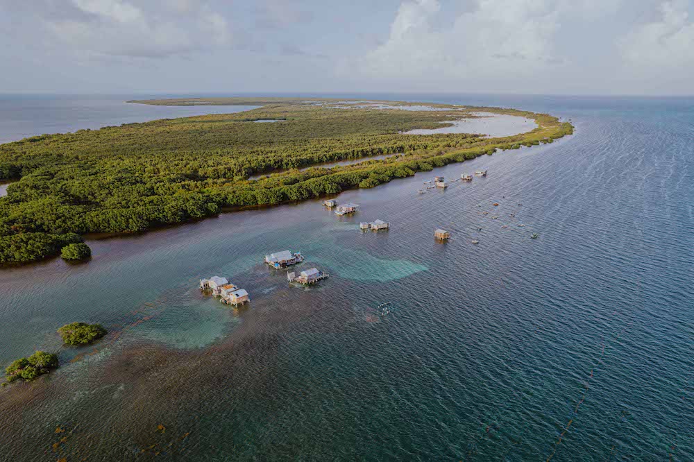 Cayo Centro, Reserva de la Biosfera Banco Chinchorro. Foto: Miguel Ángel Guillermo Amador