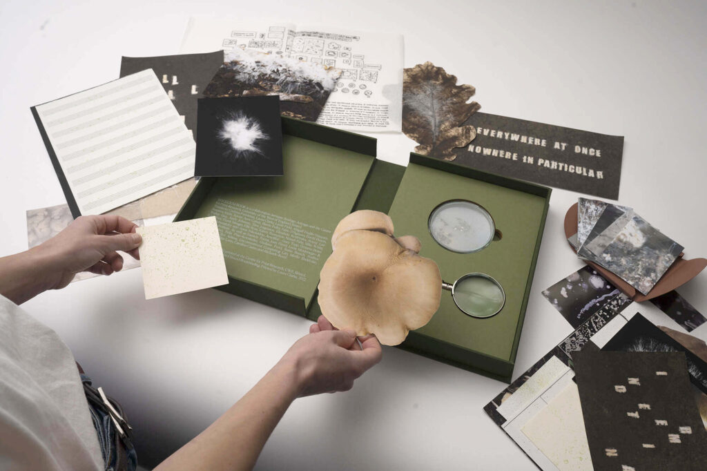 Constelaciones XIRIUS 2025: Órbitas entre arte y ciencia