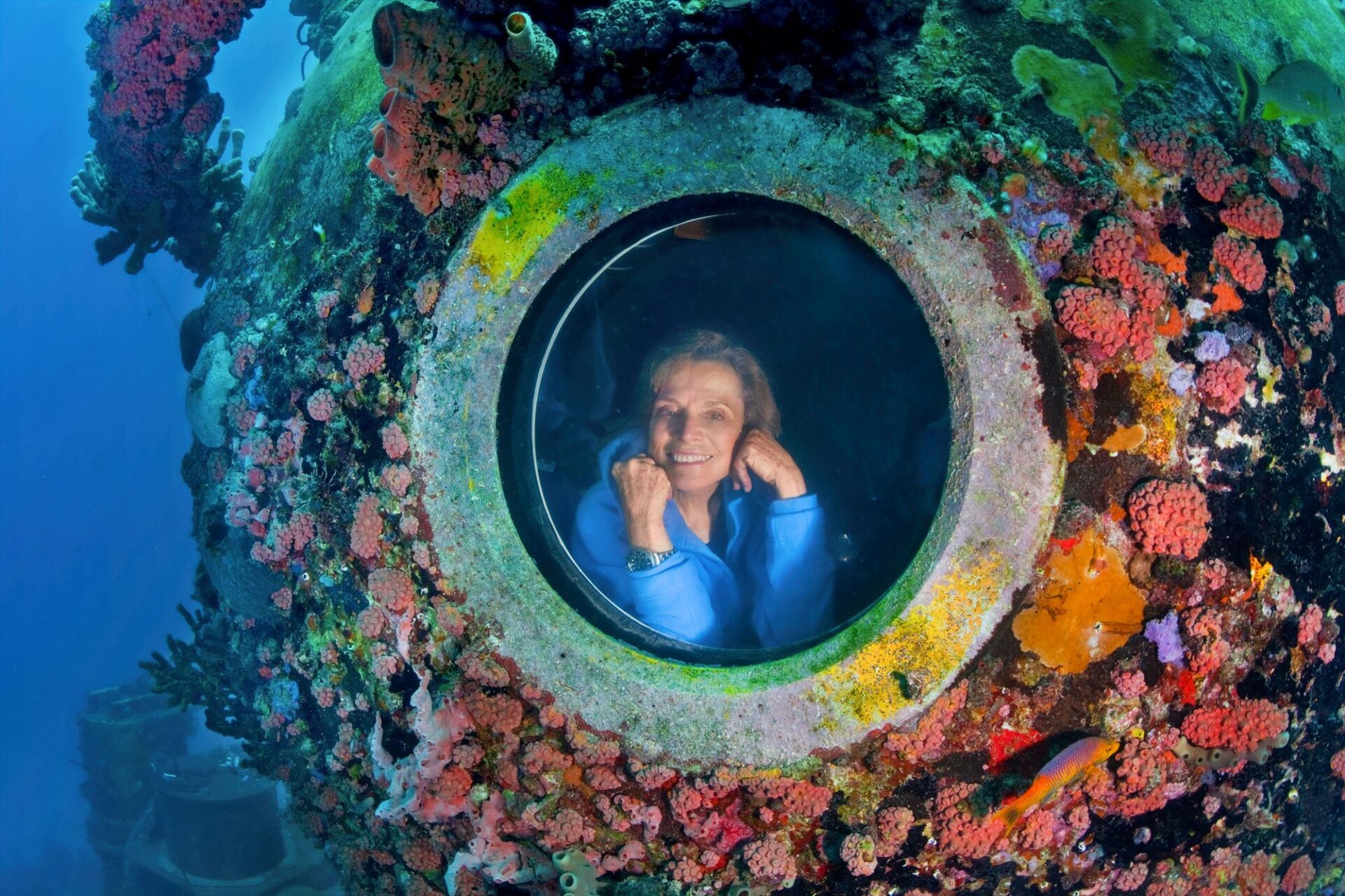 ¡Atención! Sylvia Earle confirma su participación en el Festival Ladera Sur 2025