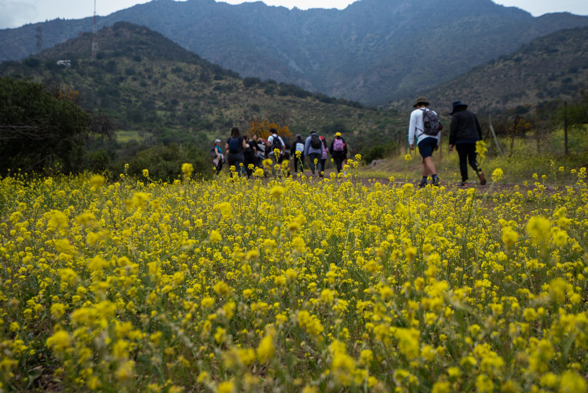 ¡Atención, amantes del outdoor! Vuelve el Día de los Cerros con más de 100 actividades gratuitas en todo Chile