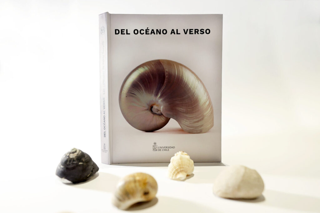 Del océano al verso. Las caracolas de Pablo Neruda