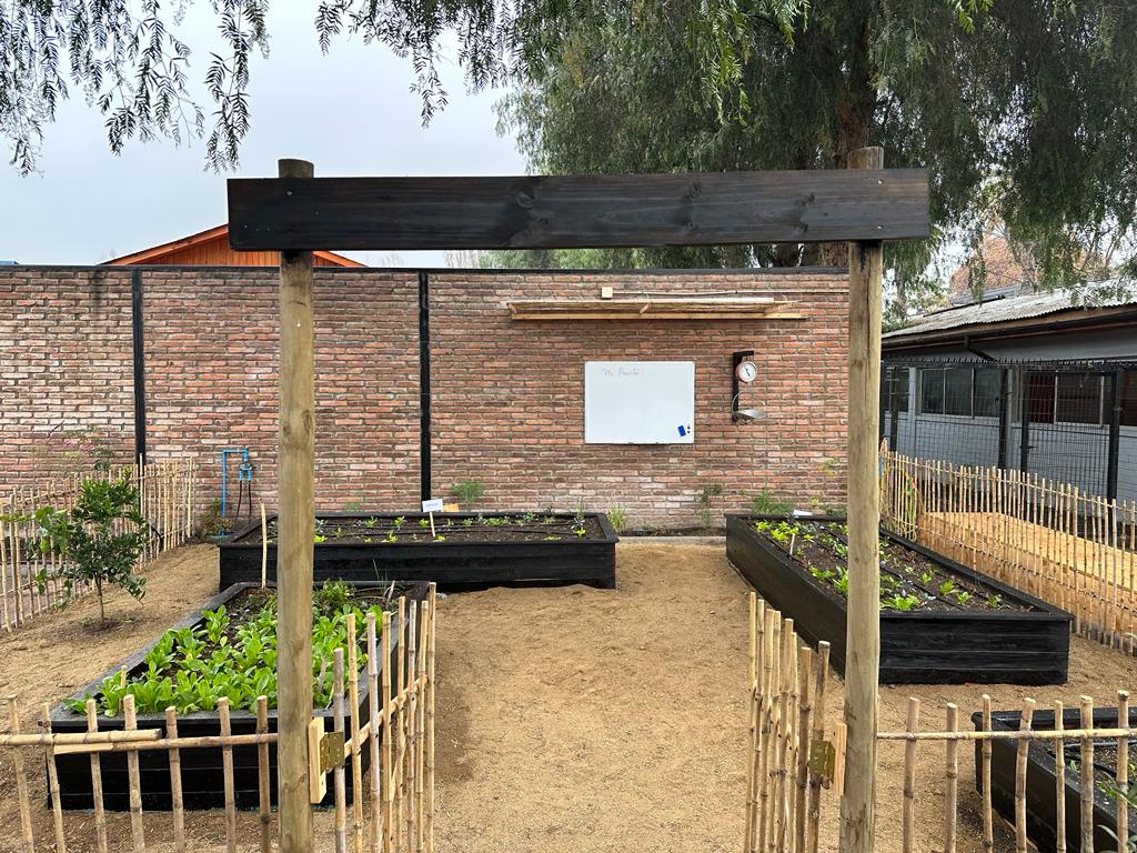 Huertas Comunitarias lanza “La Gran Siembra 2025”: Una campaña para seguir cultivando comunidad, educación y sustentabilidad en Chile