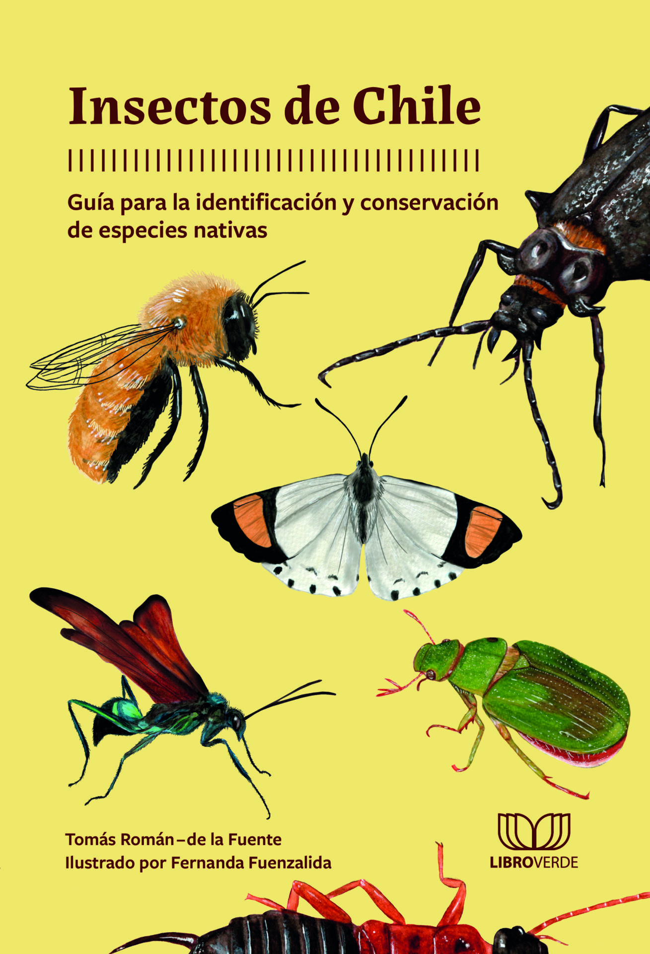 Insectos de Chile