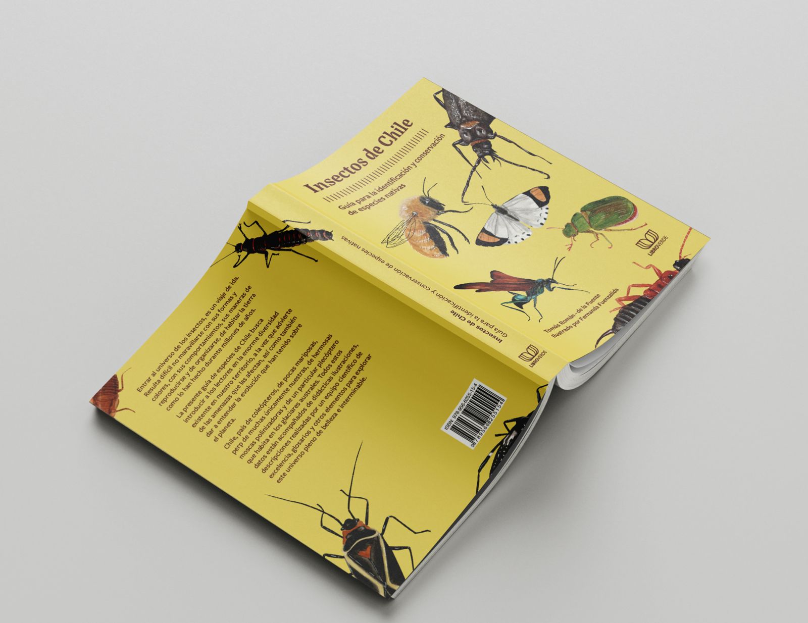 Insectos de Chile: Guía para la identificación y conservación de especies nativas
