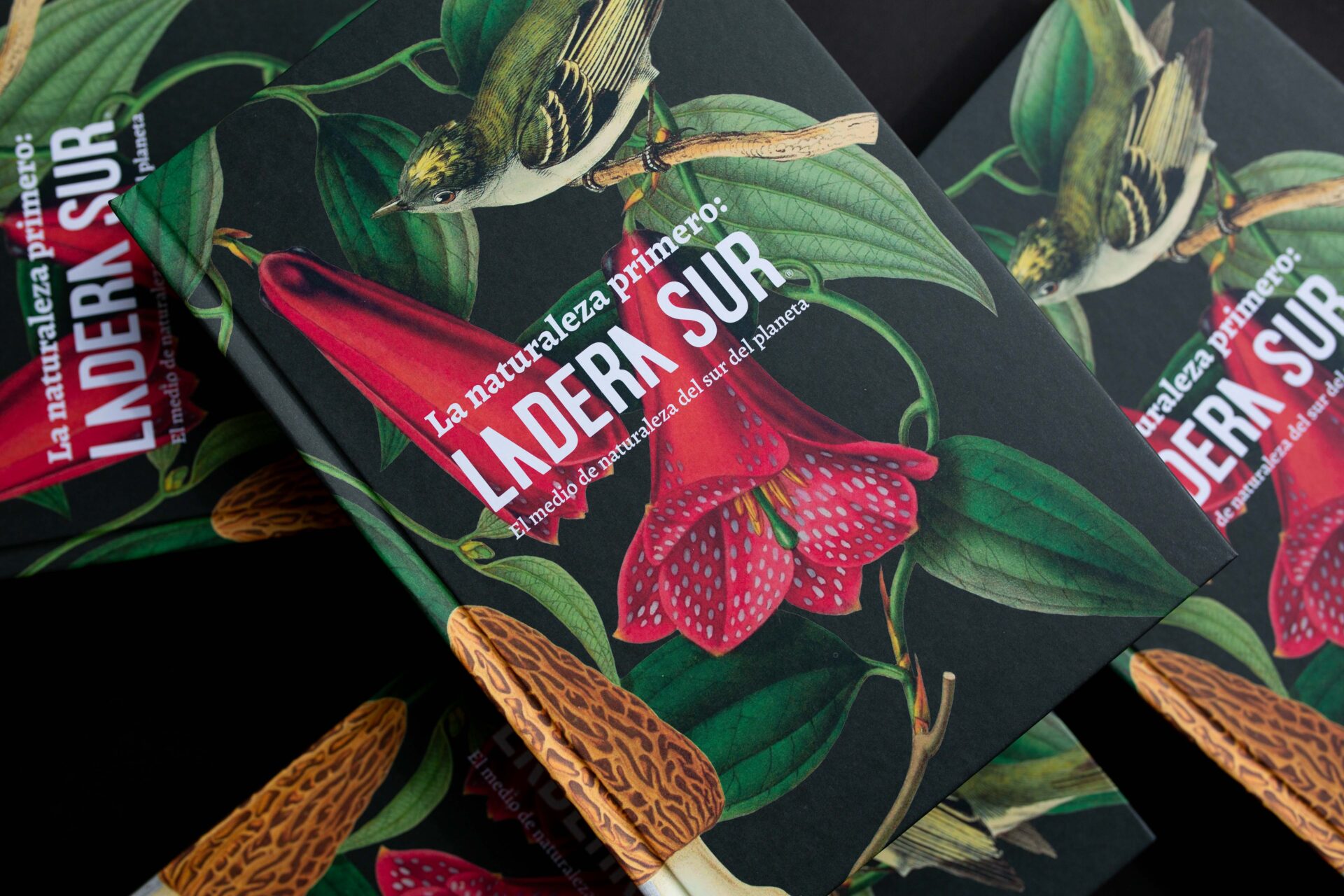 ¡Ya está a la venta! Con una recopilación de artículos y grandes proyectos, nuevo libro celebra los 10 años de Ladera Sur