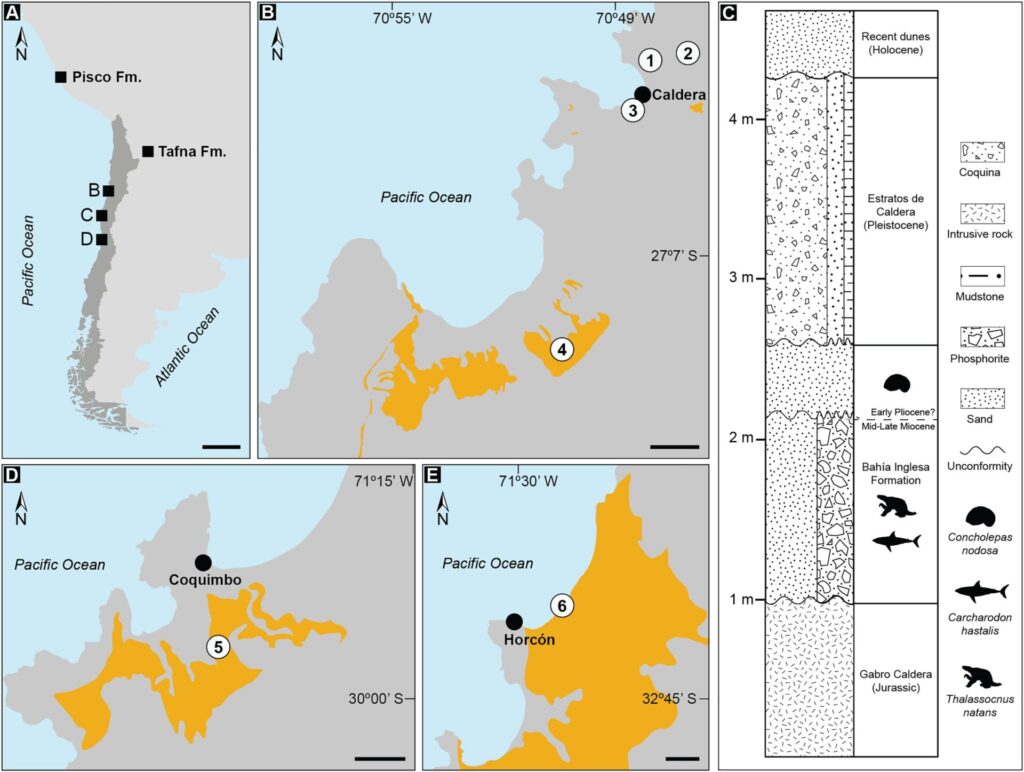 Créditos DOI: 10.7717/peerj.19897