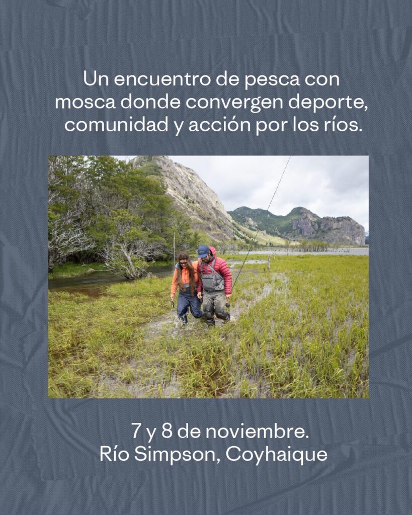 Créditos: Patagonia.