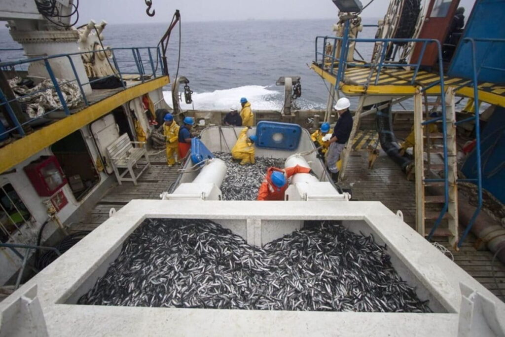 Pesca industrial de anchovetas. Foto Agencia de Noticias Andina
