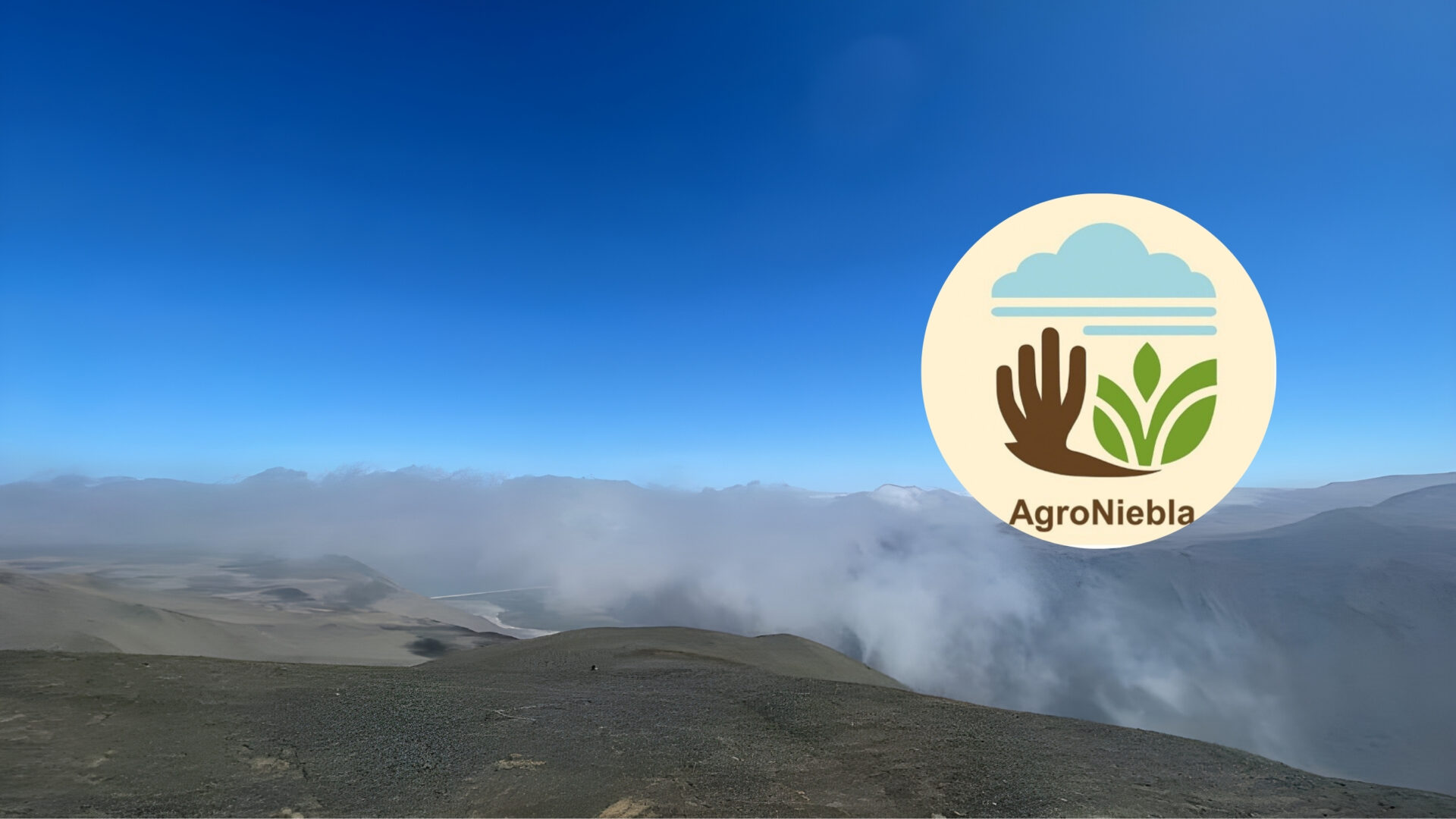 Agroniebla: La app chilena que transforma la niebla en una nueva fuente de agua en el desierto de Atacama
