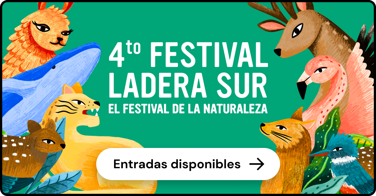 compra tus entradas para el festival ladera sur 2025