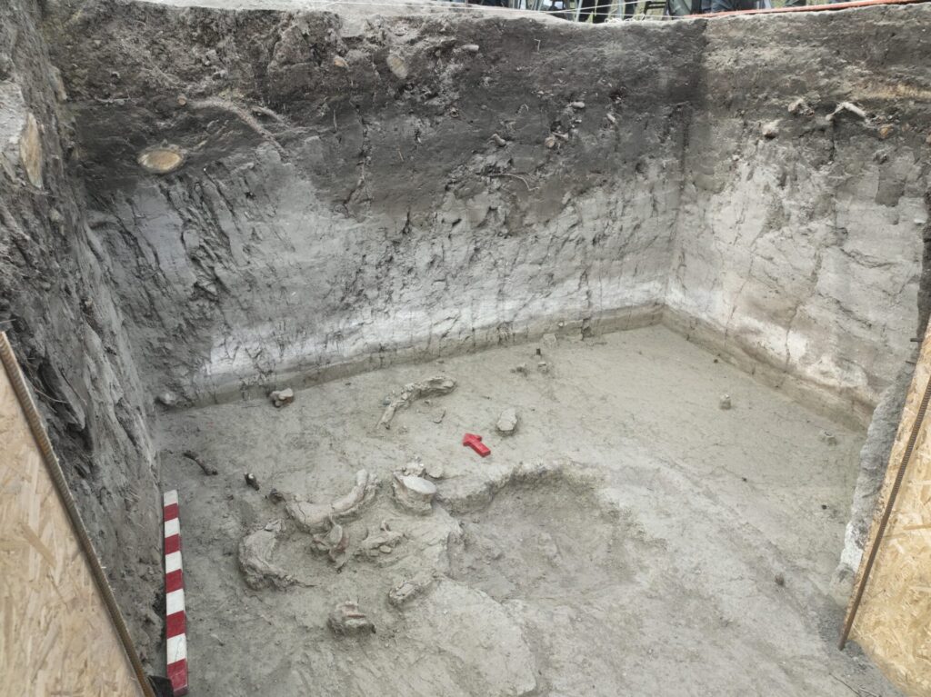 Excavación del sitio Tagua Tagua III durante septiembre de 2022. Créditos: Rafael Labarca.