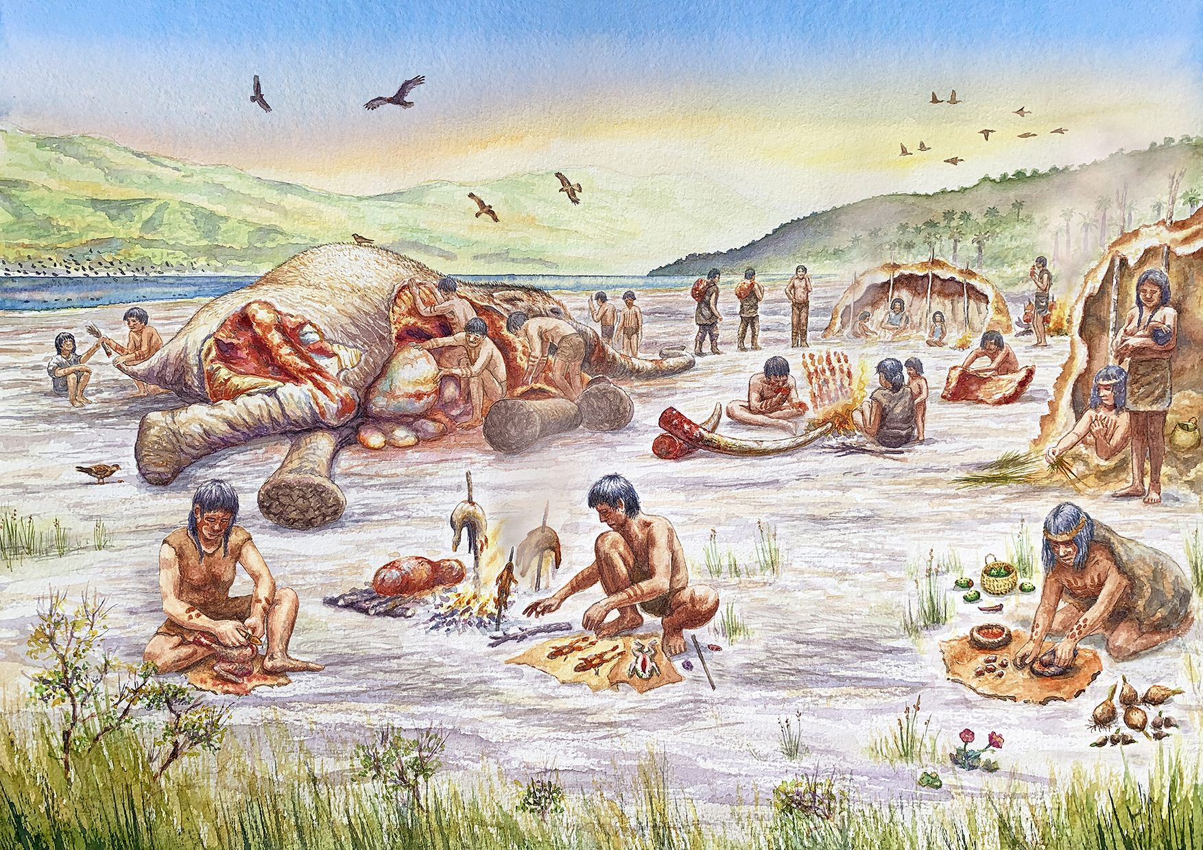 Nuevos hallazgos de Tagua Tagua: Uso de plantas entre los cazadores de hace 12 mil años, y formas tempranas de conocimiento ecológico