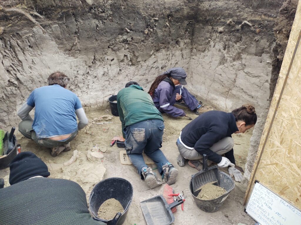 Excavación del sitio Tagua Tagua III durante septiembre de 2022. Créditos: Rafael Labarca.