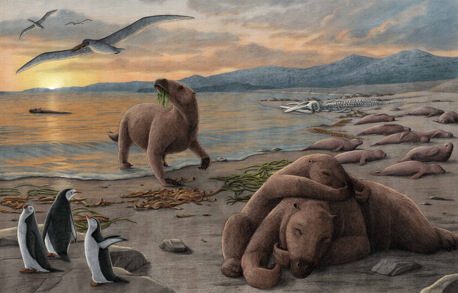 Hallazgo fósil en Chile replantea la evolución de los perezosos marinos al sur del mundo