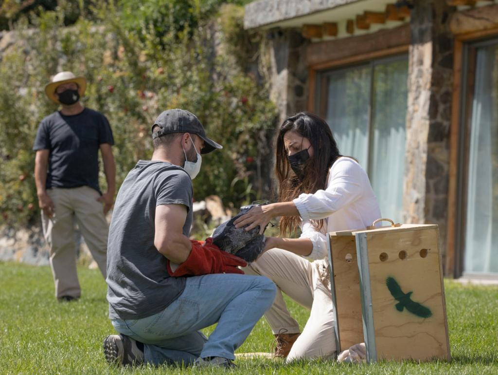 VI Simposio AMEVEFAS 2025: Ciencias Veterinarias para la Conservación de Fauna Silvestre