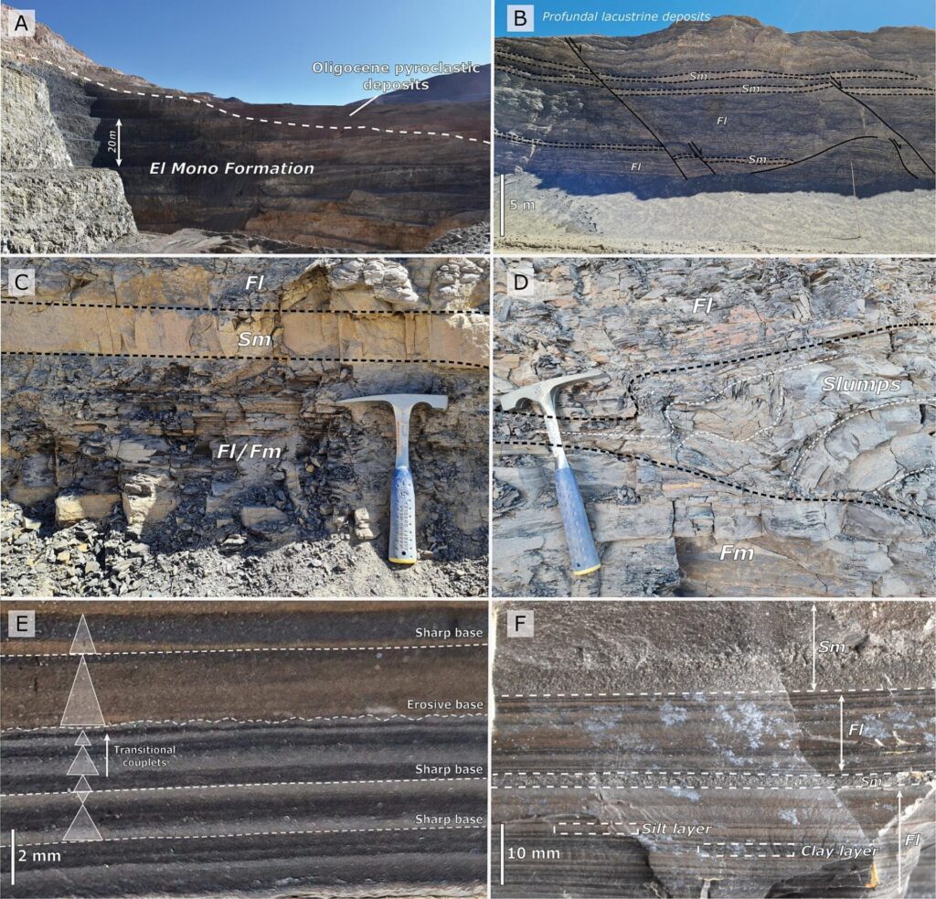 Registros del estudio. DOI: https://doi.org/10.1016/j.palaeo.2025.113328