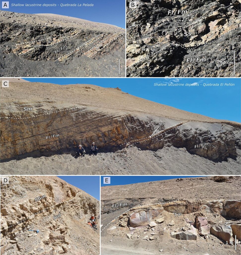 Registros del estudio. DOI: https://doi.org/10.1016/j.palaeo.2025.113328