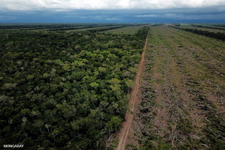 imagen aérea del bosque chaco destruido por las plantaciones de soja
