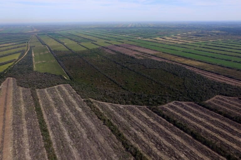 imagen aérea de campos agricolas de plantaciones de soja en Bolivia 
