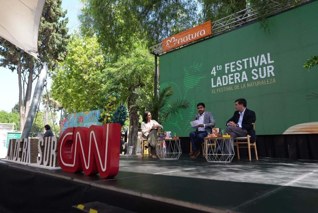 candidatos medioambiente festival ladera sur 2025  
