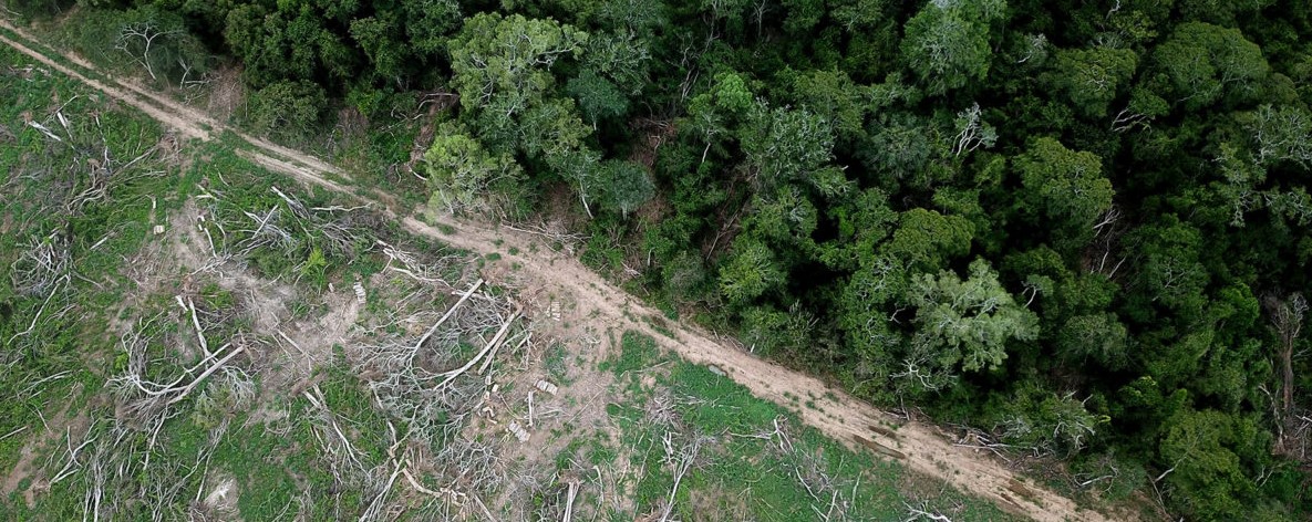 Bolivia: el presidente Paz elimina el Ministerio de Ambiente y lo pone bajo control de una cartera económica y de un empresario agroindustrial